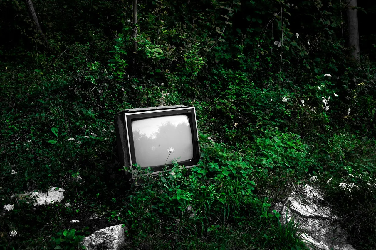 tv, forest, plants, old, vintage, technology, tube tv, weeds, shrubs, foliage, television, old tech, garbage, dark, nature, tv, tv, tv, tv, tv, tube tv, television, old tech, old t. Getting a new monitor or television ready for real viewing conditions