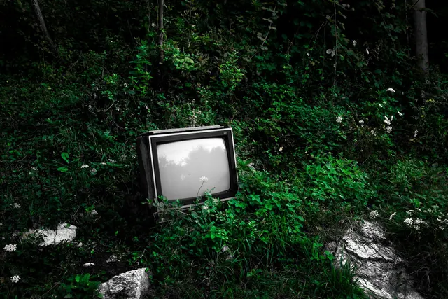tv, forest, plants, old, vintage, technology, tube tv, weeds, shrubs, foliage, television, old tech, garbage, dark, nature, tv, tv, tv, tv, tv, tube tv, television, old tech, old t. Getting a new monitor or television ready for real viewing conditions