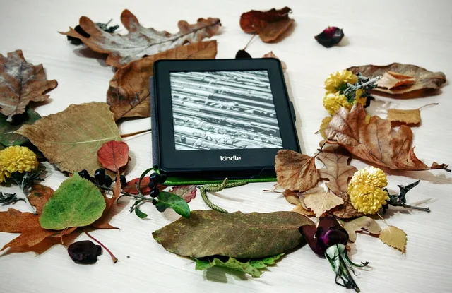 kindle, pepper white, reading, technology, digital, electronic, book, e-book, tablet, education, e-reader, literature, library, internet, screen, device, page, touch, nature, autumn, leaves, decoration, atmosphere. Tablet and e-reader buying guide: what to check