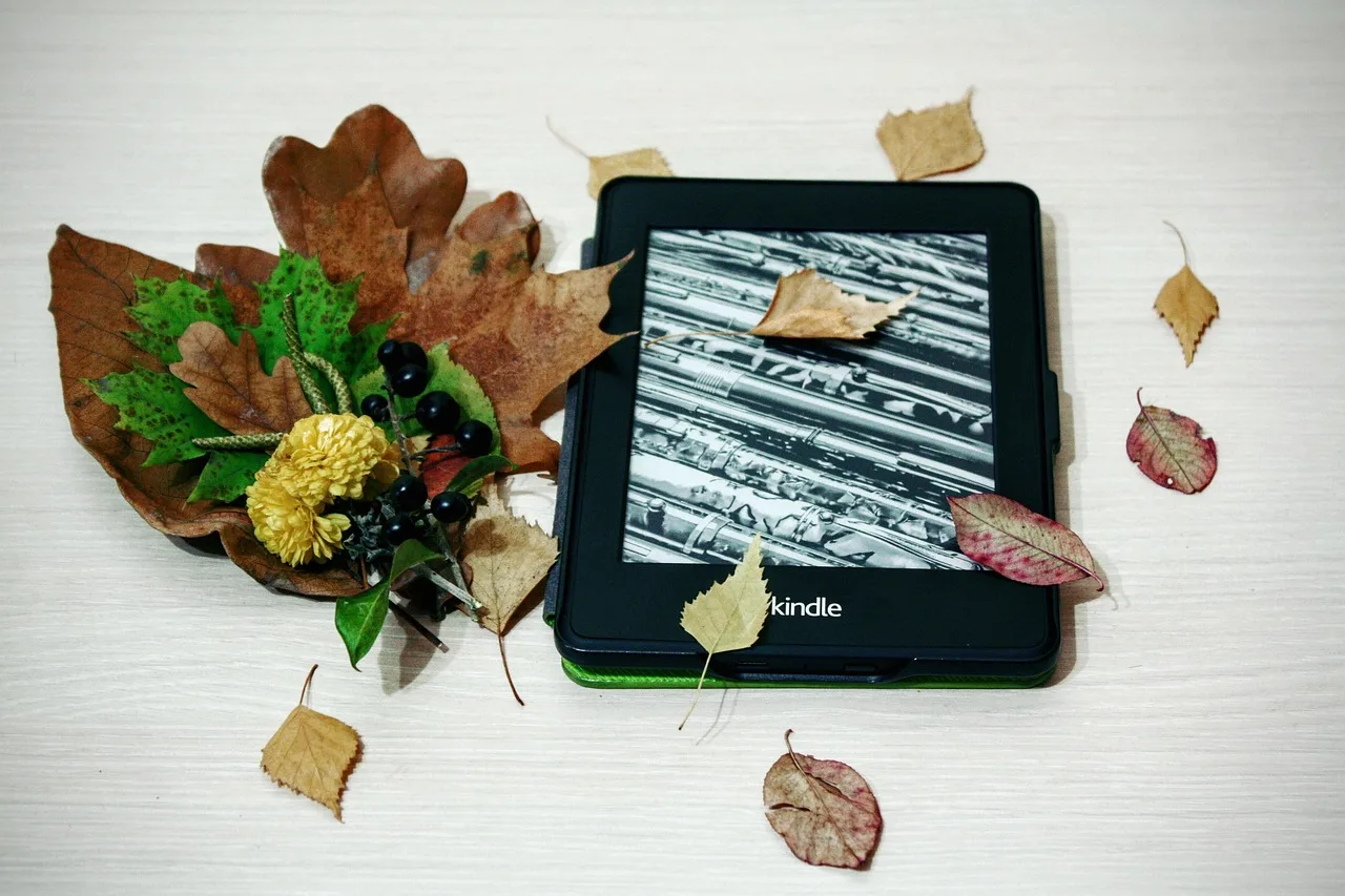 kindle, pepper white, reading, technology, digital, electronic, book, e-book, tablet, education, e-reader, literature, library, internet, screen, device, page, touch, autumn, leaves, decoration, atmosphere, fall, season, nature, natural. Used tablet and e-reader checklist: locks, screen, battery