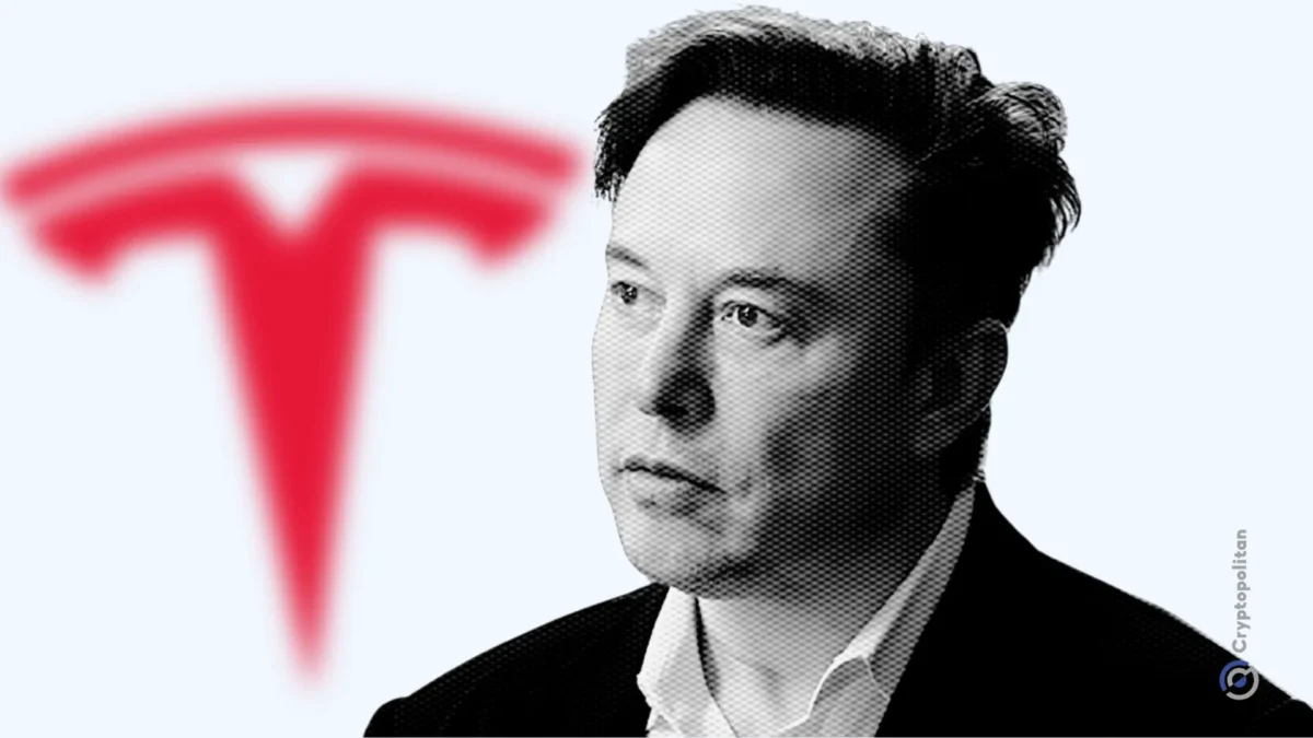 Elon Musk Tesla Stock